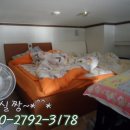 조일뉴타워 이미지