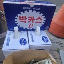 대경산행클럽 2026년 8월 정기산행에 "성이"님께서 박카스 40병 찬조하셨습니다 이미지