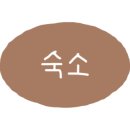 케이항공여행