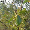 만성농장 이미지