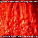 Cannibal Corpse - Living Dissection LIVE 이미지