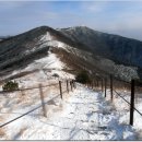 영주삼거리1 이미지