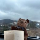 마쥬모텔 | 동글_우리의 뉴욕 신혼여행 - 출국 전 숙박한 호텔 (서울 신라호텔, 영종도 네스트호텔)