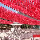 초롱농장 이미지