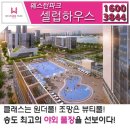 셀럽하우스 네이버블로그