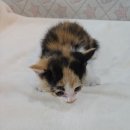 산북119안전센터 이미지