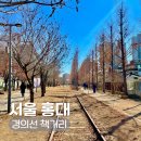 홍대 산책 경의선 책거리 카페