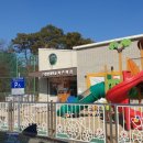 한밭대학교어린이집 이미지