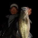 맘보민박 이미지