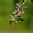 늘푸른농장 이미지