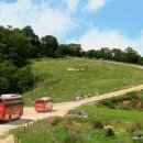 평창모터스 이미지