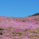 5월13일 목요일 경남사랑방 이미지