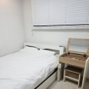 제주 소록 | 제주 동쪽 함덕 가성비 감성숙소 제주소록 내돈내산 후기