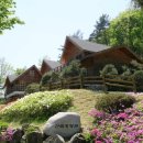 고란길(길안면) 이미지