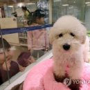 다대동물병원 이미지