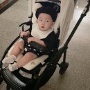 * 8개월 아기 기록 : 8개월폭풍성장 대근육발달 , 중기이유식 , 문화센터가을학기 (241days~)