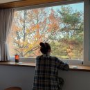 유온 | [경주여행]경주 숙소 추천/경주 유온스테이 내돈내산 후기