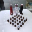 데이눈