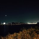 참이촌 네이버블로그