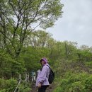 축령산 백련동(추암) | 블랙야크100대명산(26/100) 장성 축령산 최단코스