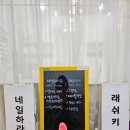 래쉬키미 이미지