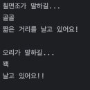 Duck Fly 티스토리