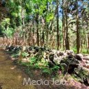 옛 정의현성 이미지