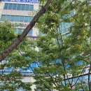 구로-구로-구로-2835 이미지