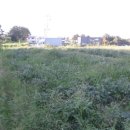 부발읍-01 이미지