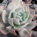 지혜의샘터 이미지