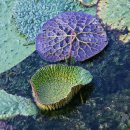 남양산역 이미지