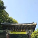 [스탬프 투어] 1397. 땅끝해남 스탬프 여행 어디까지 가봤니? 두륜산 대흥사