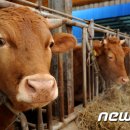 박정호농장(1농장) 이미지