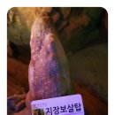 삼척해상케이블카 이미지