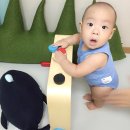도진컴퍼니 - 하남시 | 도진컴퍼니