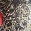 (유성-109) | 🥢 대전 유성구 송강시장 — 조가네 전과반찬 방문 후기