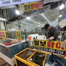 자연산회통영붕장어 | 통영 횟집 | 털보활어 통영중앙시장