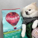 푸드독 | [강아지사료] 프리미엄생육사료 웰츠 독 어덜트 급여 후기