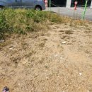 안성 평택 분식 맛집 솔직 후기 | 소표국수 평택만세로점(노란 국수면, 가성비 분식집)