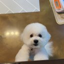 임옥빈 그루밍 이미지