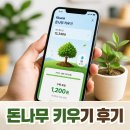 원뱅크 | 케이뱅크 돈나무 키우기 10만원 가능할까 현실 후기