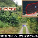 영월부동산공인중개사사무소 Daum카페