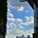 뚝섬당구장 이미지