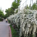 황금내근린공원 이미지