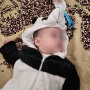 평촌홈플러스 문화센터 오감자극 아이젬 후기