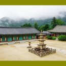 (주)자연과바다
