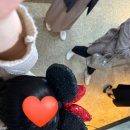 달콤왕가탕후루경복궁역점 이미지