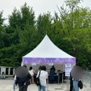봄의온도 | 이소라 콘서트 ‘봄의 미로’ 후기 🌿 경희대 평화의전당 3층 시야제한석 솔직 리뷰