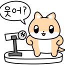 성화칼국수 - 서대문구 가재울로10길 21 | 성화칼국수