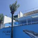 산토스 풀빌라 | 가성비도 좋은데 수영장까지 있는 거제도 풀빌라 펜션 추천해요! 산토스풀빌라 재방문 무조건 할듯♡